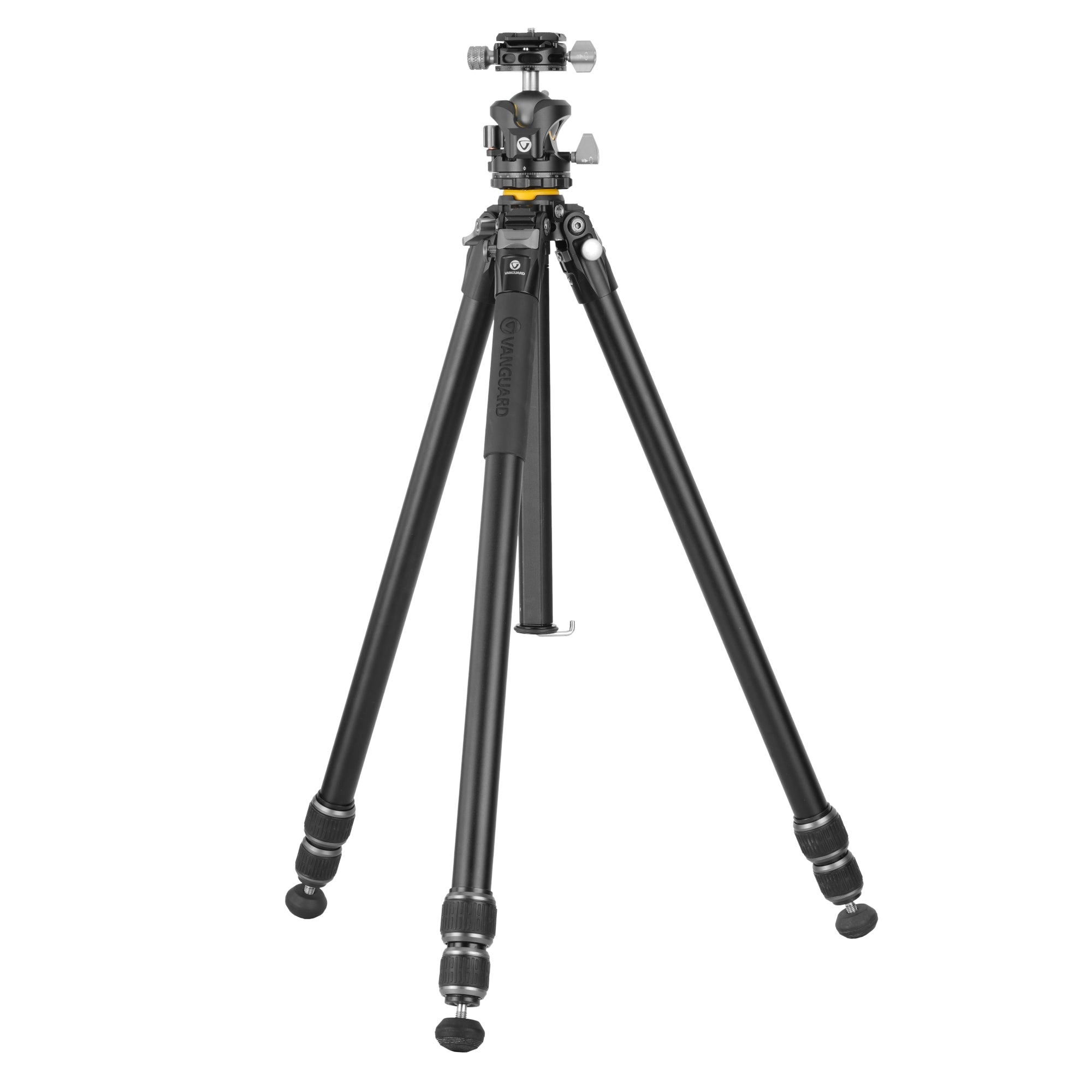 Treppiede Vanguard Alta Pro 2 263AB 100 testa a sfera Treppiede Vanguard Alta Pro 2 263AB 100 testa a sfera