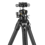 Treppiede Alta Pro 3X 264CLBPS con testa a sfera LBP-50S