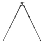 Bipiede EQ-Precision 3QS A, esteso