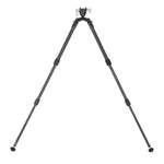 Bipiede EQ-Precision 3QS C, esteso