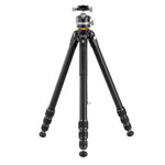 TREPPIEDI Veo 5 304ALBS
