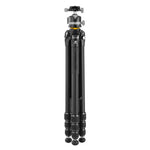 Treppiedi pieghevole Veo 5 304ALBS