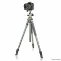 Macchina fotografica su treppiede e testa a sfera Vanguard Alta Pro 2+ 263AB 100