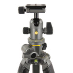 Alta Pro 2+ 263CB 100 - Treppiede in carbonio, testa a sfera Alta BH-100