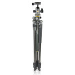 Alta Pro 2+ 263CB 100 - Treppiede in carbonio, testa a sfera, piegato