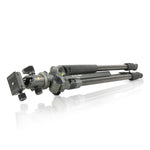 Alta Pro 2+ 263CB 100 - Treppiede in carbonio, testa a sfera, attacco laterale