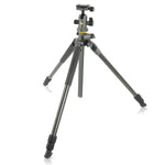 Alta Pro 2+ 263CB 100 - Treppiede in carbonio, testa a sfera, gambe estese