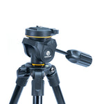 Vanguard Vesta 234AP chiuso colonna treppiede
