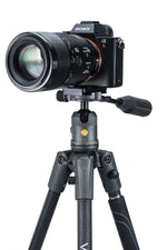 Macchina fotografica sulla testa del treppiede Vanguard Veo 2X 204CBP