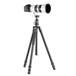 Veo 3 263AB, treppiede in alluminio con testa a sfera con teleobiettivi