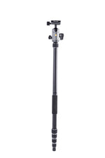 Monopiede Vanguard Veo 2GO 265HABM