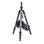 Vesta TB 204CB - Treppiede da viaggio in carbonio con angolo basso