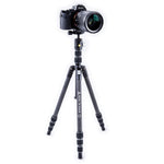 Vesta TB 204CB - Treppiede da viaggio compatto in carbonio