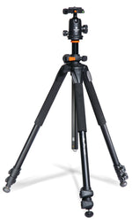 Vanguard Alta Pro Treppiede 263AB 100