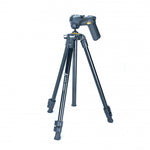 Vanguard Vesta treppiede 233AGH