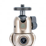 Vanguard Vesta TT1 CHAM champagne mini-treppiede testa del treppiede